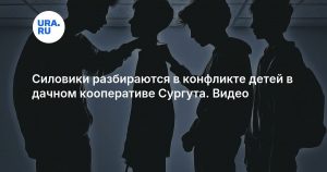 Силовики разбираются в конфликте детей в дачном кооперативе Сургута. Видео