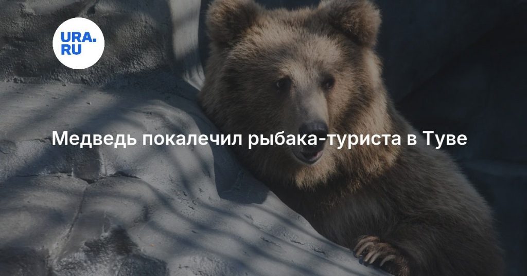 Медведь покалечил рыбака-туриста в Туве
