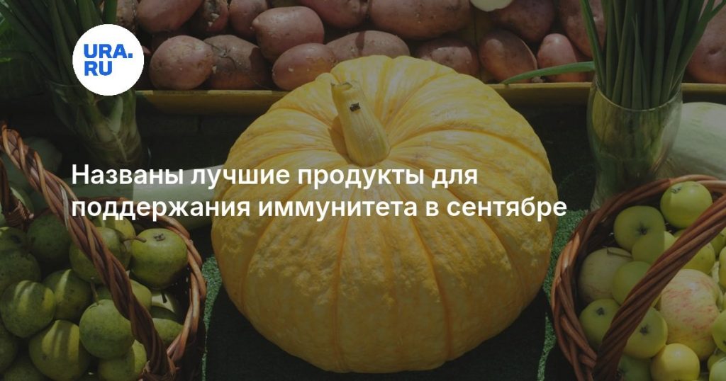 Названы лучшие продукты для поддержания иммунитета в сентябре