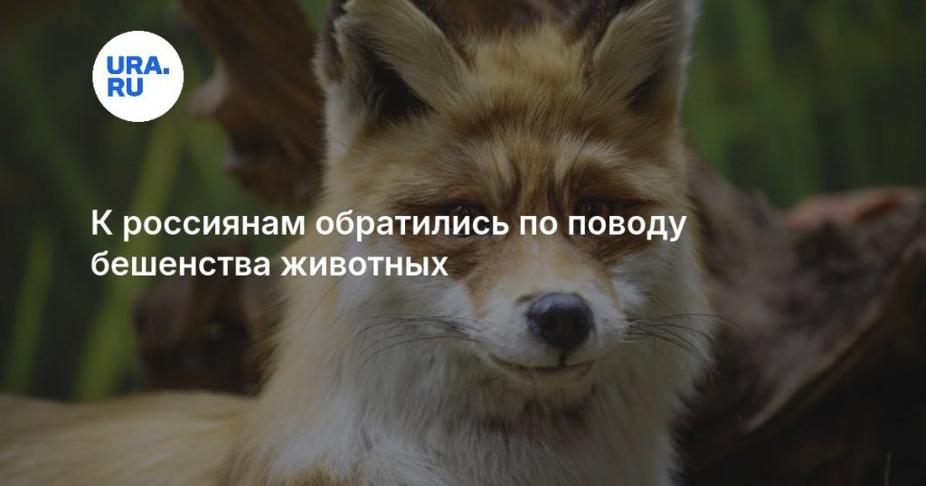 К россиянам обратились по поводу бешенства животных