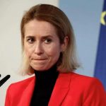 Дэвис раскритиковал главу дипломатии ЕС за обвинения в адрес России