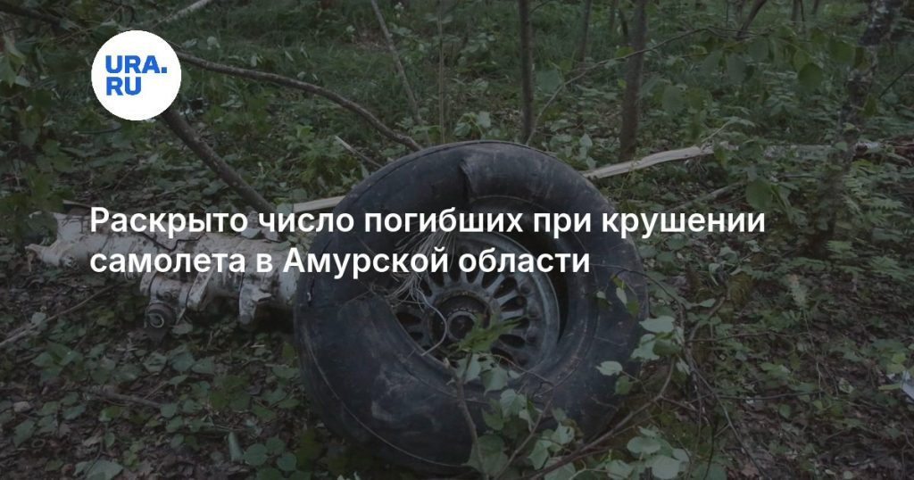 Раскрыто число погибших при крушении самолета в Амурской области