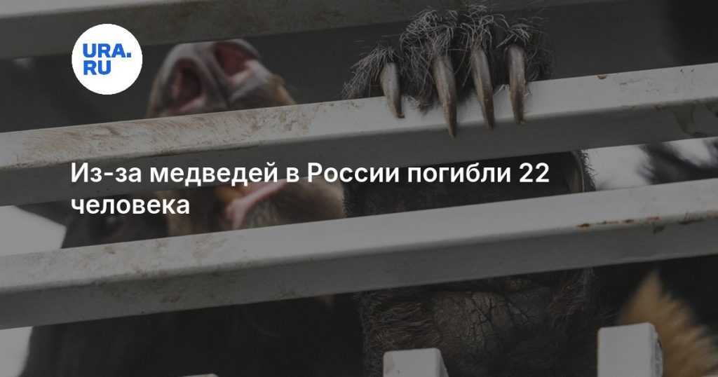 Из-за медведей в России погибли 22 человека