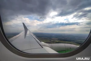 Индийский пилот раскрыл подробности нападения в кабине Flydubai