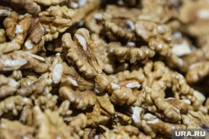 Продукты, которые помогут сохранить память