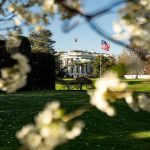 Трамп назначил Кэти Закарию пресс-секретарем Белого дома: что известно о новой главе пресс-службы