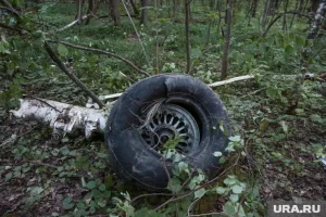 Следователи проверяют обстоятельства аварии «Цессны» в Забайкалье