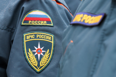 Специалисты МЧС присоединились к операции по спасению белухи под Магаданом