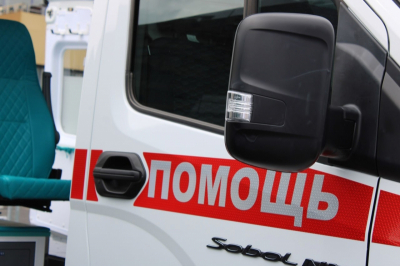 В Томской области домашний пес едва не растерзал 11-летнюю девочку