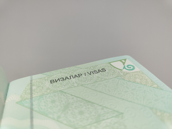 Безвизовый режим для казахстанцев вступает в силу в еще одной стране