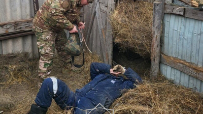 Тюк по голове