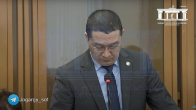 Адвокат Бишимбаева подал апелляционную жалобу на частное постановление судьи