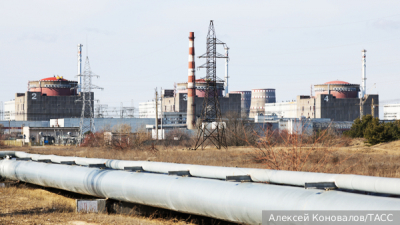 В ЛНР нашли оставленными нацбатальоном «Айдар» тайник с боеприпасами