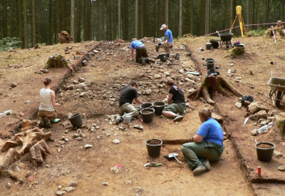 Во Франции в средневековом туалете нашли семя винограда возрастом 600 лет